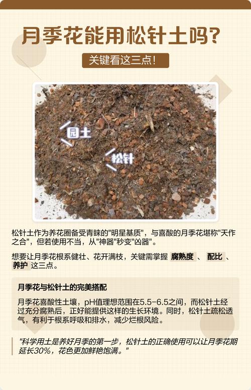 未腐熟松针能拌土种花吗（发酵脱脂333混合）