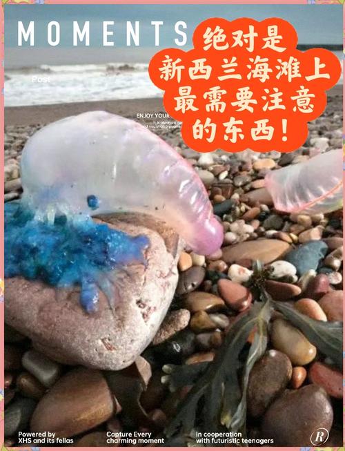 养水母的水有毒吗（稳定水质盐度温度循环与喂养，避免误区）