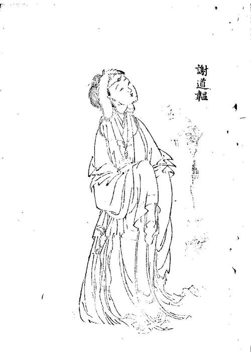 谢灵运和谢道韫的关系(才华家族与山水诗传承) 谢灵运和谢道韫的关系(才华家族与山水诗传承)