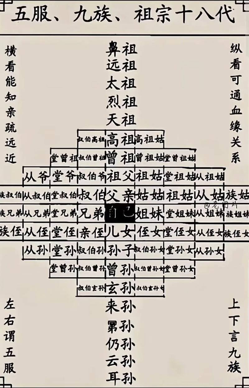 惧留孙是什么来历（惧留孙封神隐世高人与秩序守护法宝传奇）
