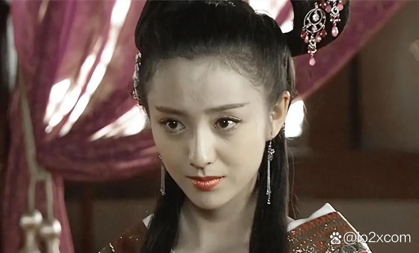 赵飞燕简介传奇(平民出身成后妃,环肥燕瘦背后的权力斗争)