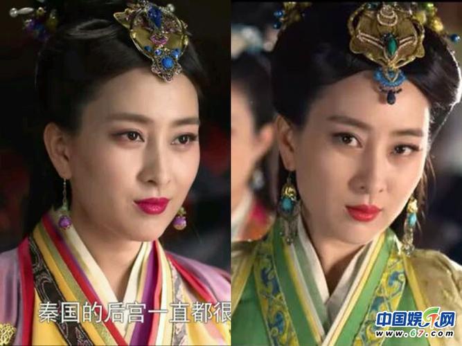 魏国公主魏琰简介（魏琰在秦廷后宫的权力与家国博弈）