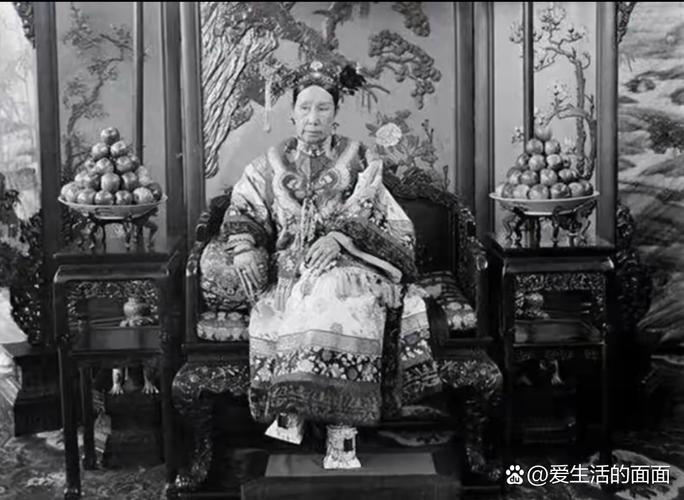 慈禧太后野史（慈禧野史多维画像权力网与晚清变局）