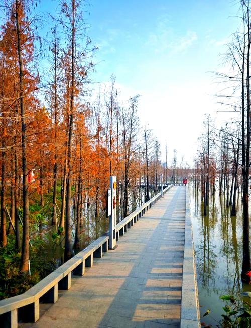 华阳湖湿地公园简介(免费开放,生态修复与城市绿肺示范地) 华阳湖湿地公园简介(免费开放,生态修复与城市绿肺示范地)