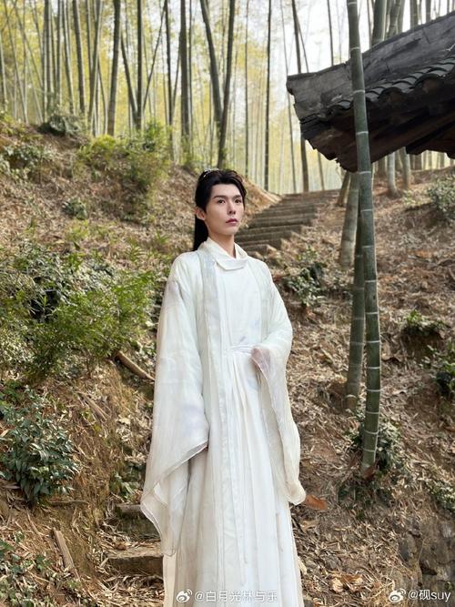 郑袖是谁演的(思美人芈月传剑王朝对比)