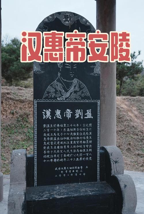 刘弗陵简介死因（童年束缚与霍光权力网的历史解读）