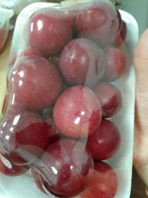 樱桃李长什么样子(杂交核果,兼具观赏与果实,辨别樱花果要点) 樱桃李长什么样子(杂交核果,兼具观赏与果实,辨别樱花果要点)