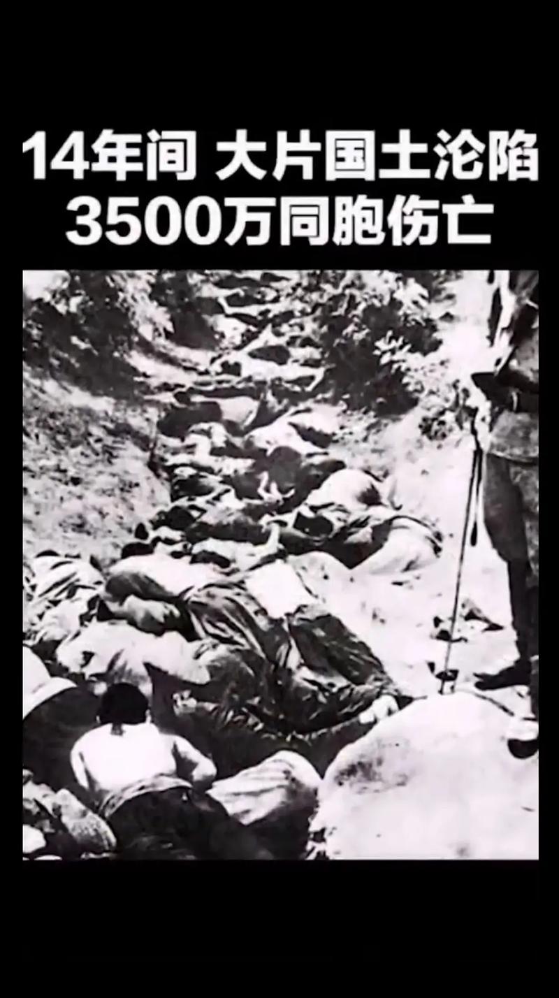 1931年中国发生了什么（灾难下的民族团结与救亡）