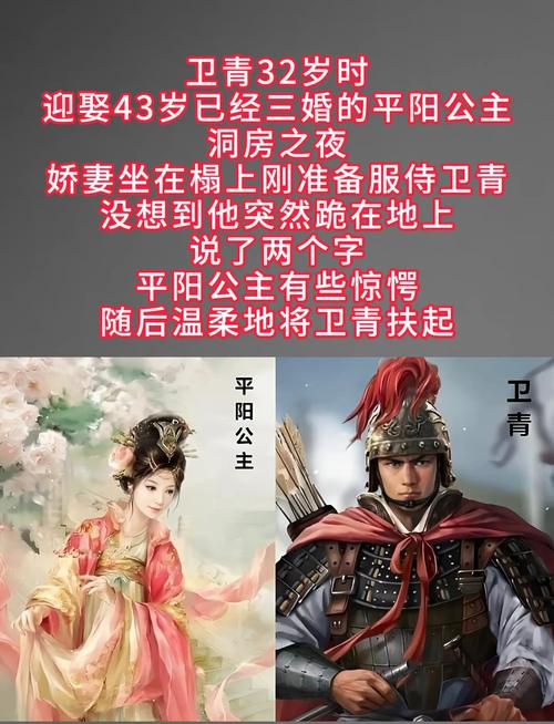 卫子夫活了多少岁(汉武帝宠妃到皇后的宫廷权力与厄运)