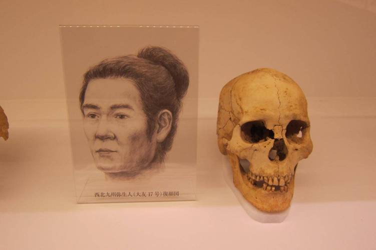 弥生人是中国人吗（弥生人不是中国人，而是跨区域混血的产物）