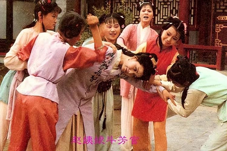 赵姨娘简介（红楼梦中的半主子与底层痛感象征）