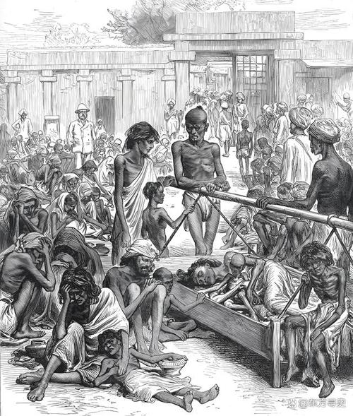 爱尔兰大饥荒为什么会发生(爱尔兰大饥荒病害与土地救济制度的教训)